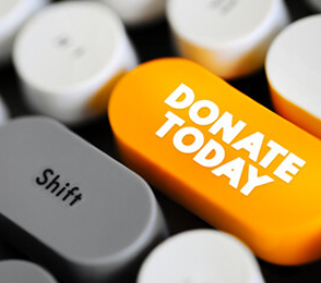 Donation Button